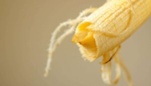 A quoi servent les filaments dans les bananes ? La réponse va vous surprendre